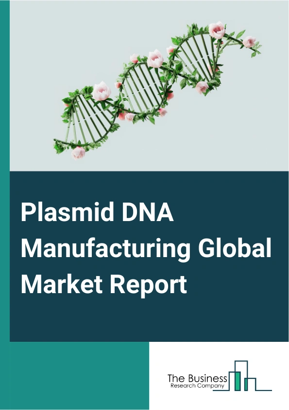 Plasmid DNA Manufacturing Global Market Report 2025 – By Grade (Research And Development Grade, Good Manufacturing Practice (GMP) Grade), By Development Phase (Pre-Clinical Therapeutics, Clinical Therapeutics, Marketed Therapeutics), By Disease (Infectious Disease, Cancer, Genetic Disorder, Other Diseases), By Application (Deoxyribonucleic Acid (DNA) Vaccines, Cell And Gene Therapy, Immunotherapy, Other Applications) – Impact of Tariff and Trade War on Market Size, Growth, Trends, and Forecast 2025–2034