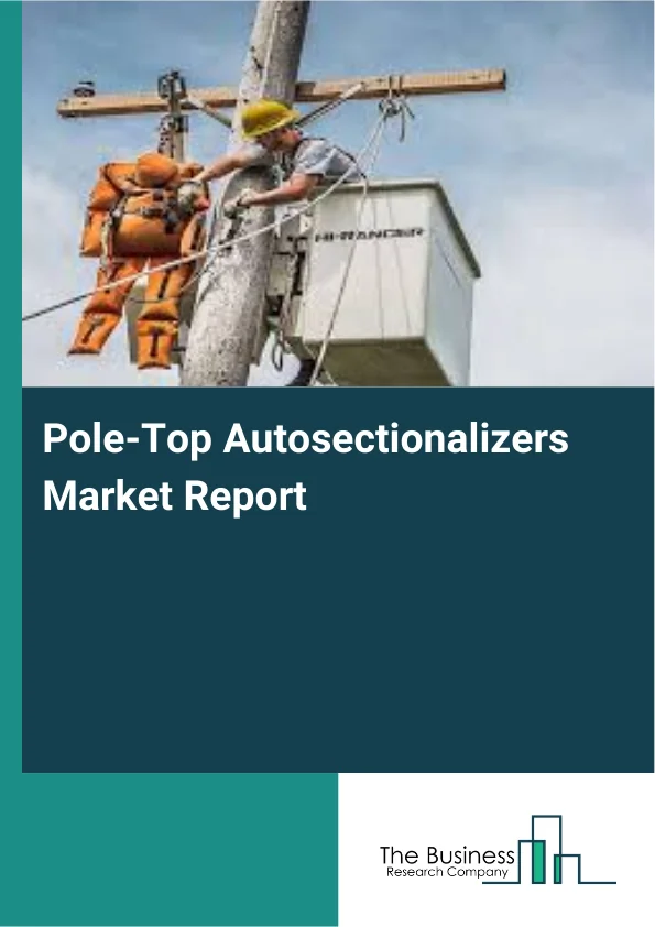 Pole-Top Autosectionalizers Market Report Infographic Image