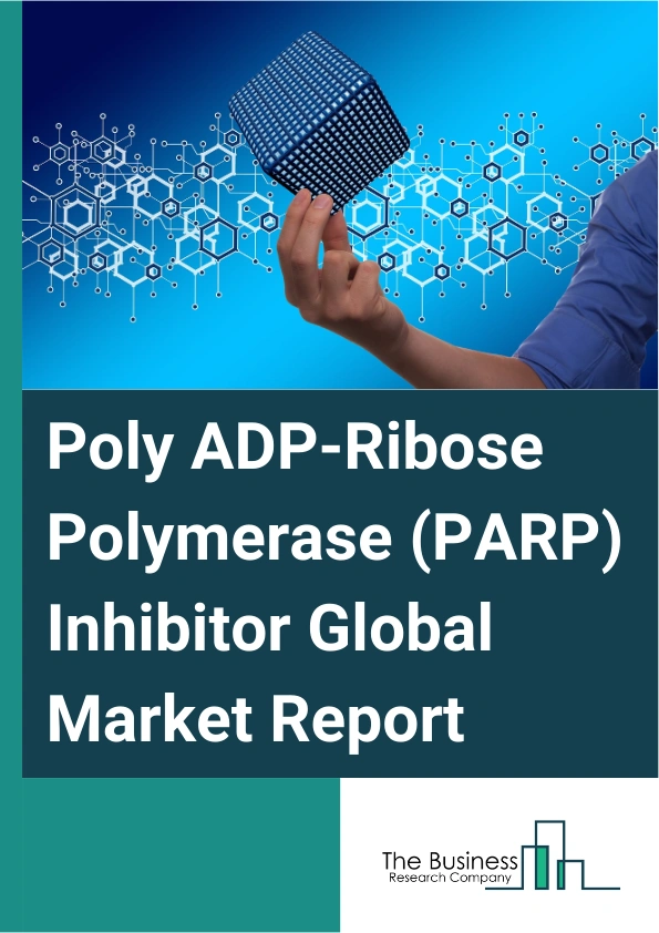 Poly ADP-Ribose Polymerase (PARP) Inhibitor Global Market Report 2025 – By Drug Type (Talazoparib, Veliparib, Olaparib, Other Drug Types), By Distribution Channel (Hospital Pharmacy, Online Pharmacy, Retail Pharmacy, Other Distribution Channels), By Application (Ovarian Cancer, Breast Cancer, Other Applications), By End Users (Hospitals, Homecare, Specialty Clinics, Other End Users) – Market Size, Trends, And Global Forecast 2025-2034