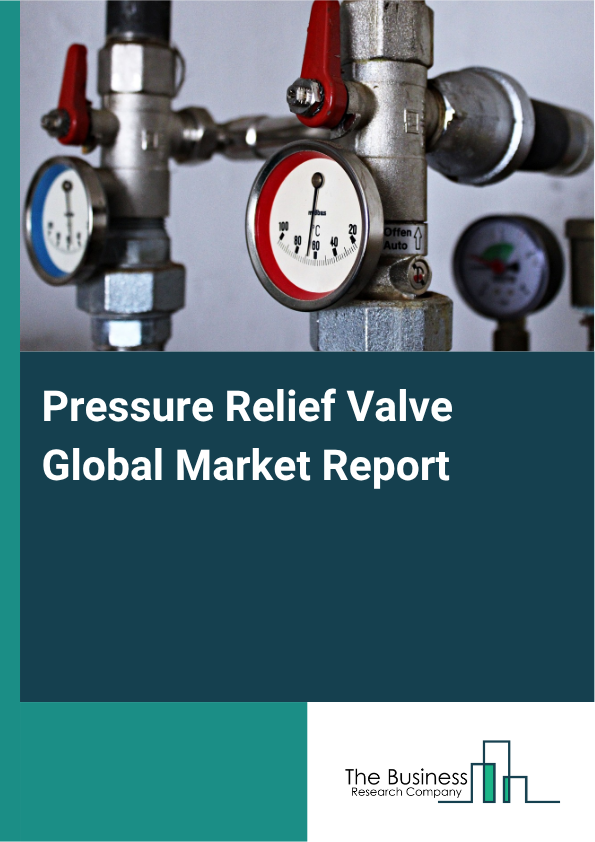 Pressure Relief Valve Market Size and growth rate 2025 to 2029: Graph
