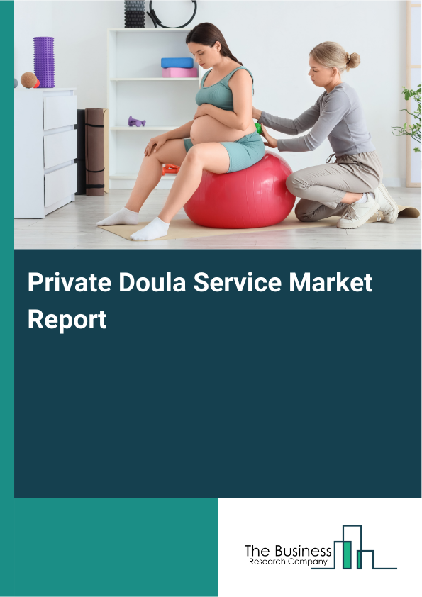 Private Doula Service Market Report Infographic Image