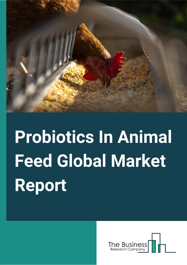 Probiotics In Animal Feed