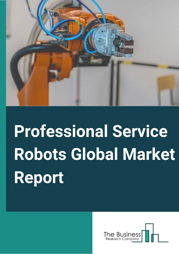 Professional Service Robots