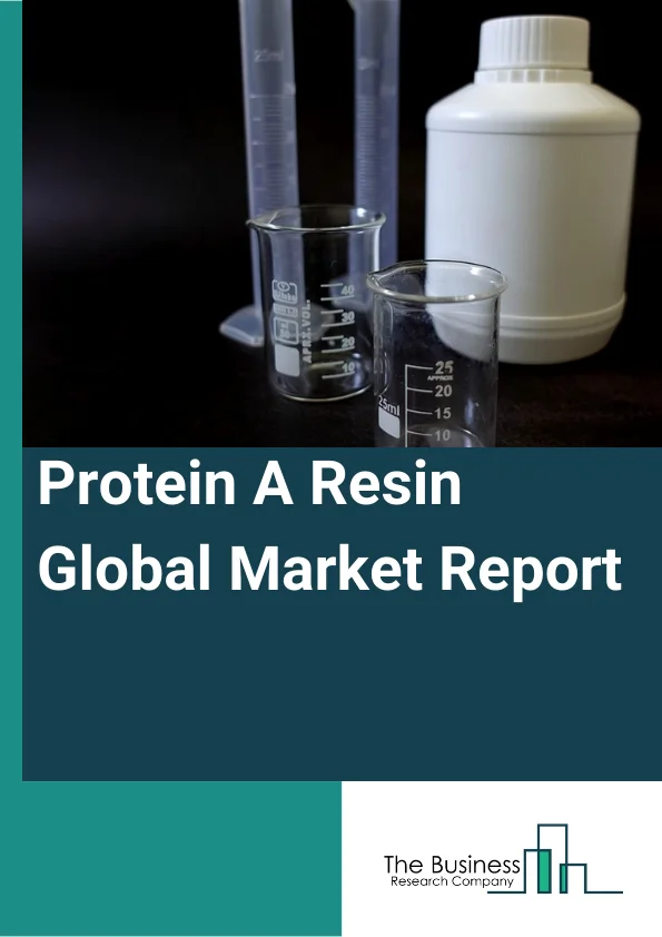 Protein A Resin Global Market Report 2024 – By Type (Natural Protein A, Recombinant Protein A), By Matrix Type (Agarose-Based Protein A, Glass/Silica-Based Protein A, Organic Polymer-Based Protein A), By Application (Antibody Purification, Immunoprecipitation), By End User (Biopharmaceutical Manufacturers, Clinical Research Laboratories, Academic Institutes) – Market Size, Trends, And Global Forecast 2024-2033