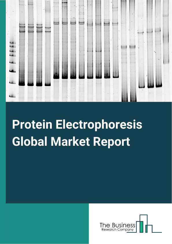 Global Protein Electrophoresis Market Report 2025