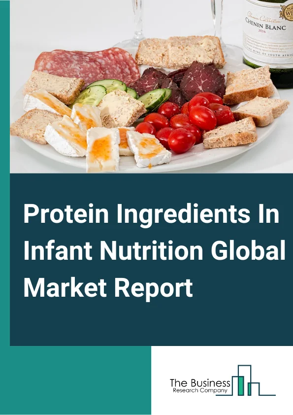 Protein Ingredients In Infant Nutrition Global Market Report 2025 – By Product Type (Animal, Plant), By Form (Isolate, Concentrate, Other Forms), By Source (Cow Milk, Soy, Protein Hydrolysates, Other Sources
, Application (Growing-Up Milk, Standard Infant Formula, Follow-On Formula, Specialty), By Distribution Channel (Hypermarkets, Supermarkets, Pharmacy or Medical Store, Specialty Stores, Hard Discounter Stores, Other Distribution Channels ) – Market Size, Trends, And Global Forecast 2025-2034