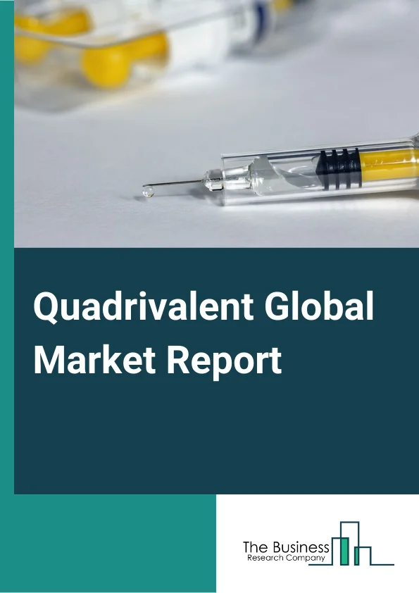 Quadrivalent Global Market Report 2024 – By Type (Intradermal Shot, Intramuscular Injection, Nasal Spray), By Technology (Conjugated, Live, Inactivated, Recombinant, Toxoid, Other Technologies), By Disease (Cancer, Hepatitis, Pneumococcal disease, COVID-19, Influenza, Human Papilloma Virus, Meningococcal Disease, Polio, Rotavirus, Other Diseases), By Age Group (Pediatric, Adult), By Distribution Channel (Hospital And Pharmacy, Government Suppliers, Other Channels (NGOs)) – Market Size, Trends, And Global Forecast 2024-2033