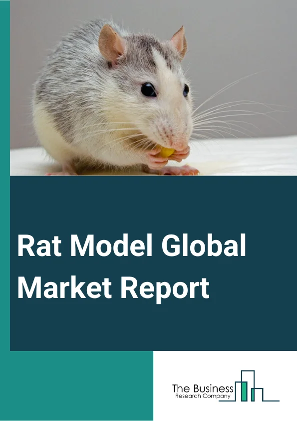 Rat Model