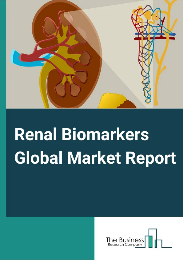 Renal Biomarkers Global Market Report 2024 – By Biomarker Type (Functional Biomarker, Up Regulated Protein, Other Biomarker Types), By Diagnostic Technique (Enzyme-Linked Immunosorbent Assay, Particle-Enhanced Turbidimetric Immunoassay (PETIA), Colorimetric Assay, Chemiluminescent Enzyme Immunoassay (CLIA), Liquid Chromatography Mass Spectrometry (LS-MS)), By Application (Diagnosis And Disease Progression Monitoring, Research Homecare), By End User (Hospitals, Diagnostic Laboratories, Other End Users) – Market Size, Trends, And Global Forecast 2024-2033