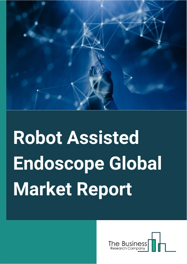 Robot Assisted Endoscope