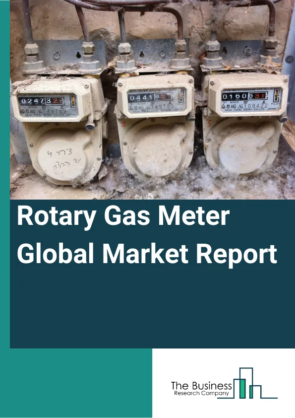 Rotary Gas Meter