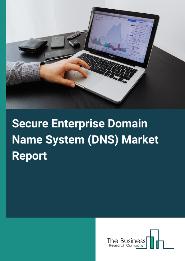 Secure Enterprise Domain Name System (DNS) Market Report Infographic Image