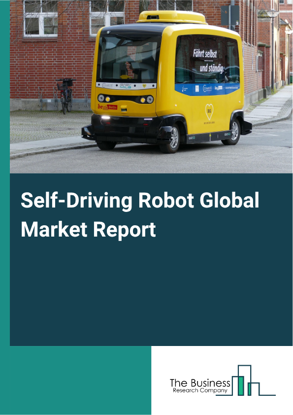 Self-Driving Robot Market Size and growth rate 2025 to 2029: Graph