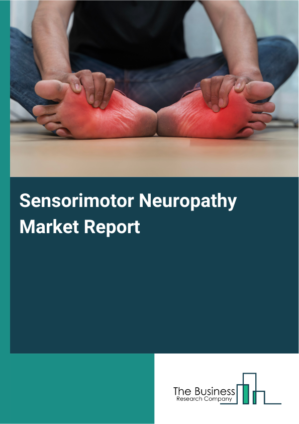 Sensorimotor Neuropathy Market Report Infographic Image