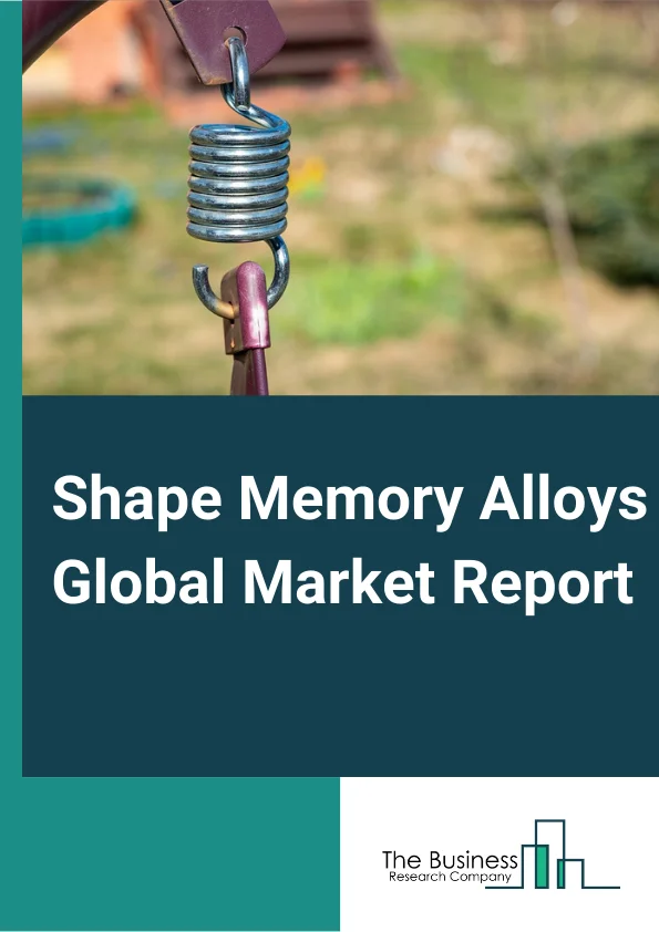 Shape Memory Alloys 