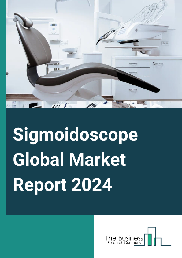 Sigmoidoscope Global Market Report 2025 – By Type (Flexible Sigmoidoscope, Rigid Sigmoidoscope), By Application (Diagnosis, Monitoring, Other Applications), By End User (Clinics, Hospitals, Diagnostic Centers, Gastroente...