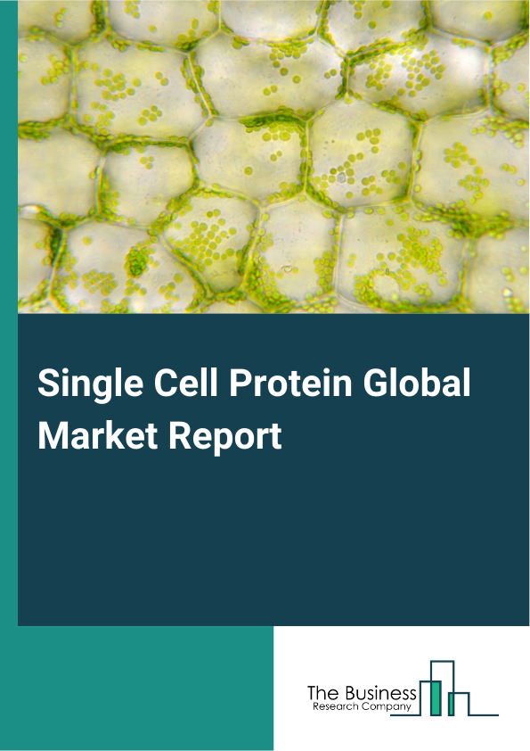 Global Single Cell Protein Market Report 2025