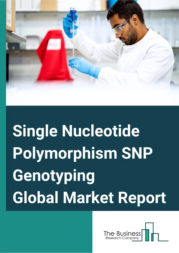 Single Nucleotide Polymorphism (SNP) Genotyping Global Market Report 2025 – By Product (Consumables, Instruments, services), By Technology (TaqMan SNP Genotyping, Mass Array SNP Genotyping, SNP Gene Chip Arrays, Other Technologies), By Application (Animal Genetics, Plant Improvement, Diagnostic Research, Pharmaceuticals And Pharmacogenomics, Agricultural Biotechnology, Other Applications) – Market Size, Trends, And Global Forecast 2025-2034
