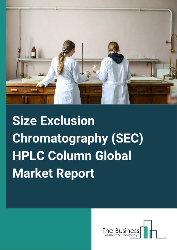 Global Size Exclusion Chromatography (SEC) HPLC Column Market Report 2025