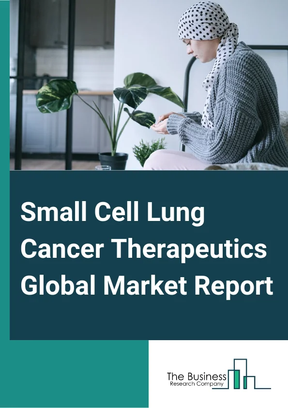 Small Cell Lung Cancer Therapeutics Global Market Report 2024 – By Drug Type (Atezolizumab, Topotecan, Lurbinectedin, Durvalumab, Methotrexate, Pembrolizumab), By Treatment Type (Chemotherapy, Targeted Therapy, Other Treatment Types), By Route Of Administration (Oral, Parenteral, Other Routes Of Administrations), By End-Users (Hospitals, Cancer Therapy Centers, Other End-Users) – Market Size, Trends, And Global Forecast 2024-2033