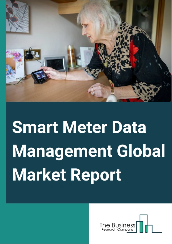 Smart Meter Data Management Global Market Report 2025 – By Component (Software, Services), By Deployment Mode (On-Premise, Cloud), By Application (Electric Meters, Gas Meters, Water Meters) – Impact of Tariff and Trade W...
