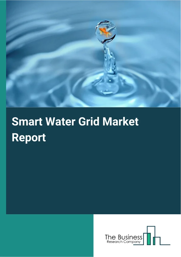 Smart Water Grid Market Report Infographic Image