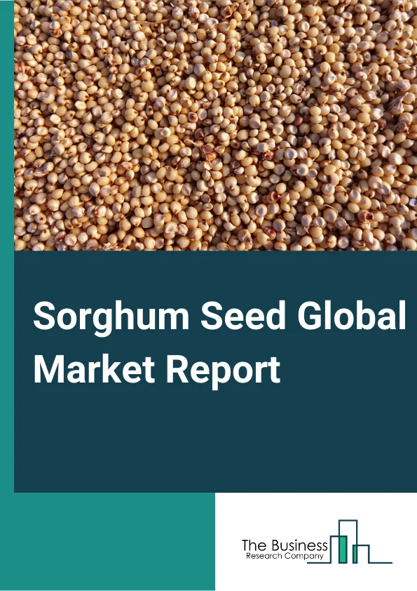 Sorghum Seed