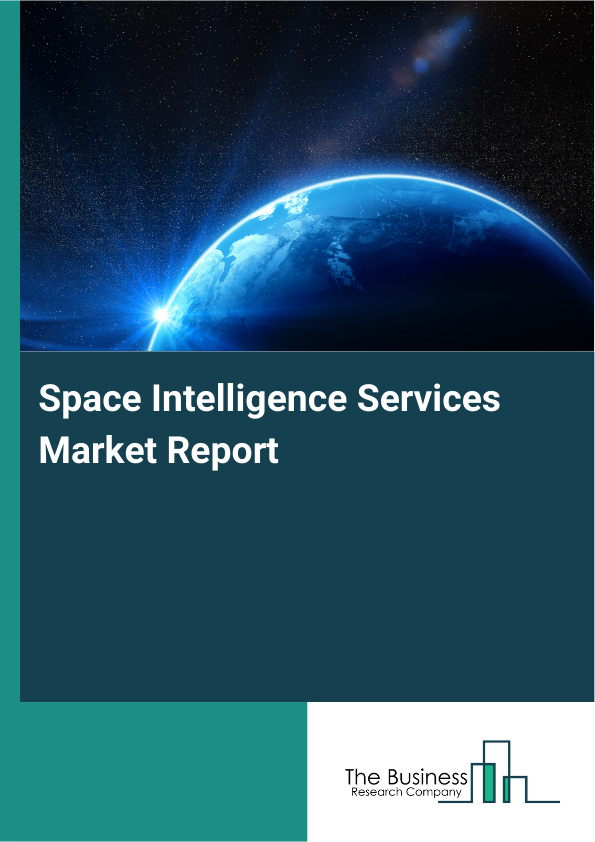 Space Intelligence Services Market Report Infographic Image