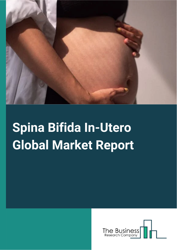 Spina Bifida In Utero