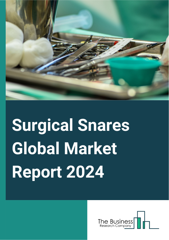 Surgical Snares Global Market Report 2025 – By Usability (Single-Use, Reusable), By Application (GI Endoscopy, Laparoscopy, Urology Endoscopy, Gynecology Endoscopy, Arthroscopy, Bronchoscopy, Mediastinoscopy, Laryngoscop...