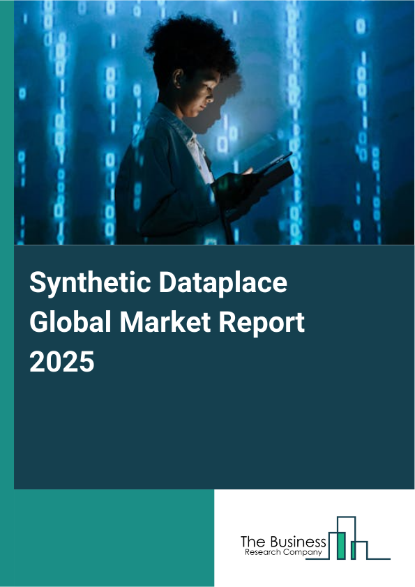 Global Synthetic Dataplace Market Report 2025