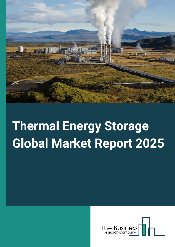 Global Thermal Energy Storage Market Report 2025