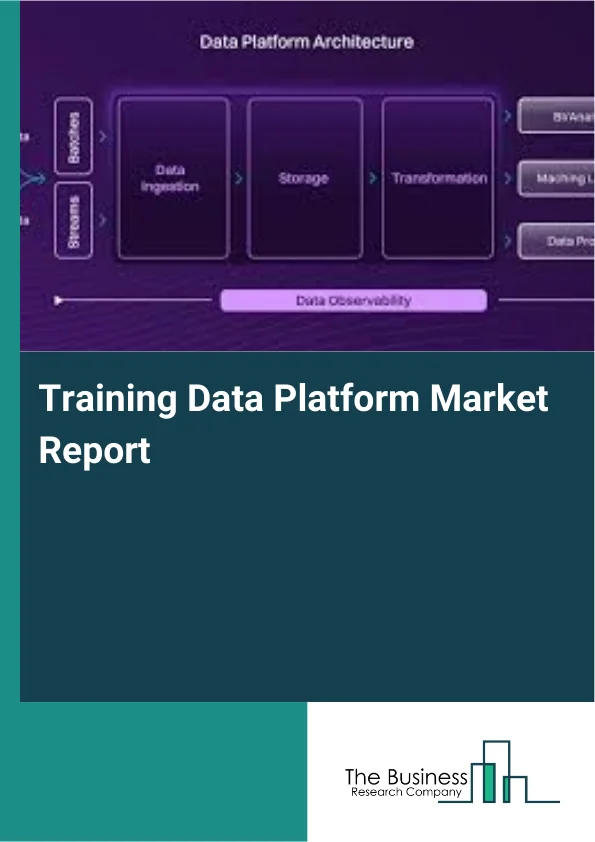 Training Data Platform Market Report Infographic Image