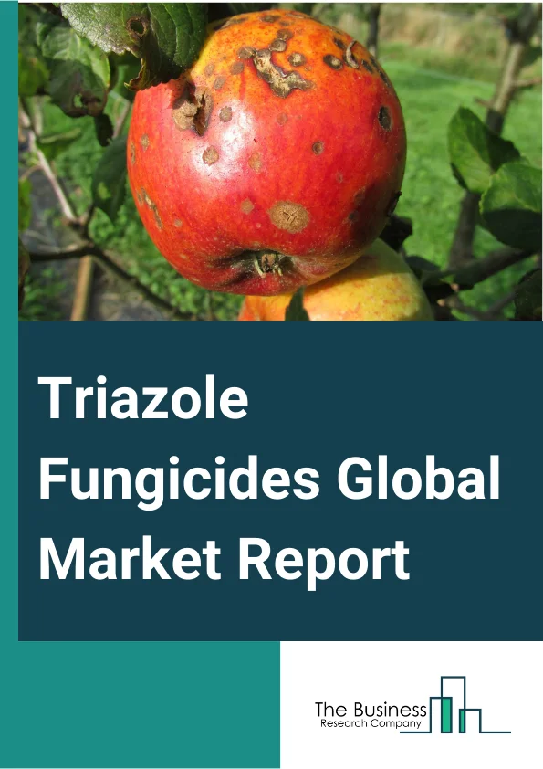 Triazole Fungicides Global Market Report 2025 – By Product Type (Epoxiconazole, Triadimenol, Propiconazole, Prothioconazole, Metconazole, Cyproconazole, Tebuconazole, Flusilazole, Paclobutrazol), By Crop Type (Cereals And Grains, Oilseeds And Pulses, Fruits And Vegetables, Other Crop Types), By Application (Seed Treatment, Soil Treatment, Foliar Spray, Chemigation, Post-Harvest) – Market Size, Trends, And Global Forecast 2025-2034