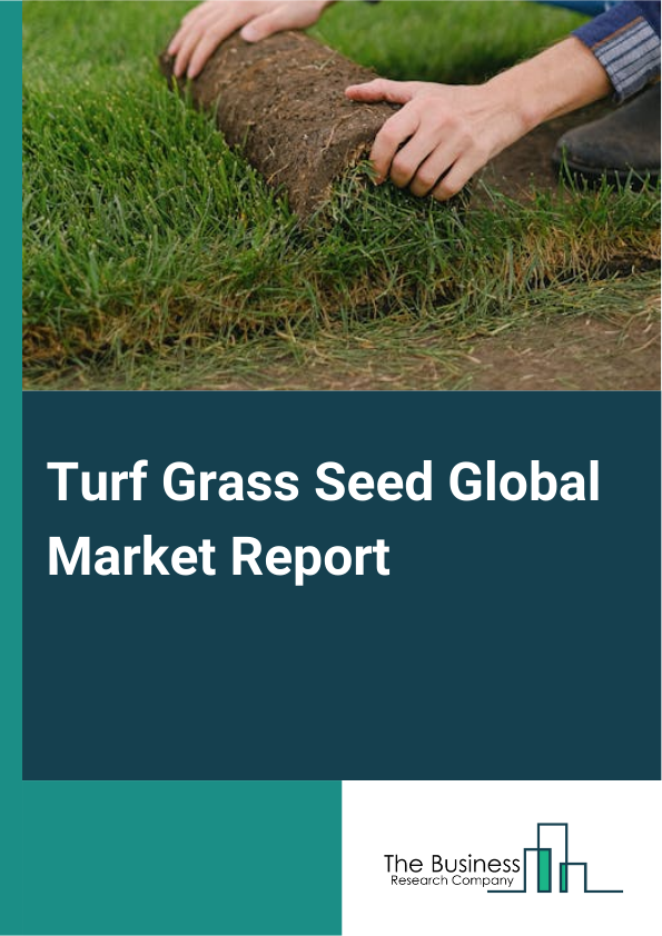 Turf Grass Seed