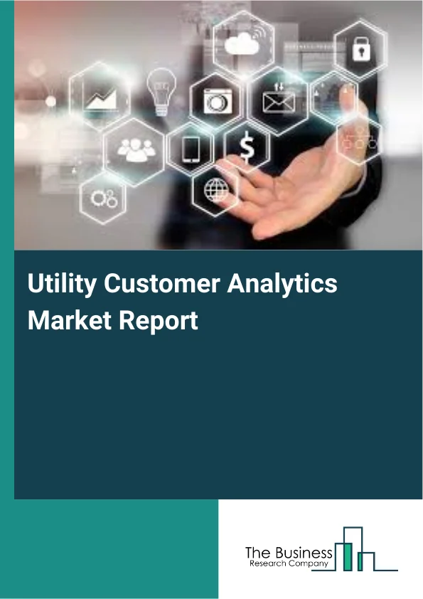 Utility Customer Analytics Market Report Infographic Image