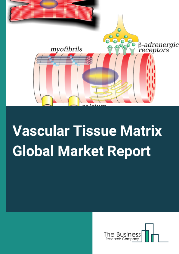 Vascular Tissue Matrix