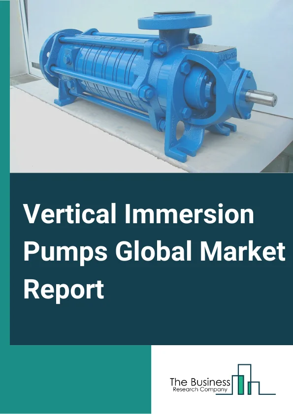 Vertical Immersion Pumps Market Report Infographic Image