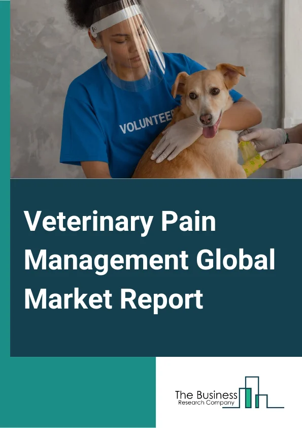 Veterinary Pain Management Global Market Report 2025 – By Product (Drugs, Devices), By Animal Type (Companion Animals, Livestock), By Distribution Channel (Hospitals and Clinics, Pharmacy), By Application (Joint Pain, Postoperative Pain, Cancer, Other Applications) – Market Size, Trends, And Global Forecast 2025-2034