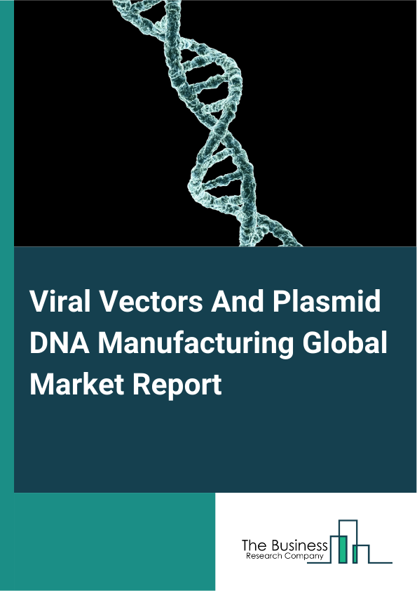 Viral Vectors And Plasmid DNA Manufacturing