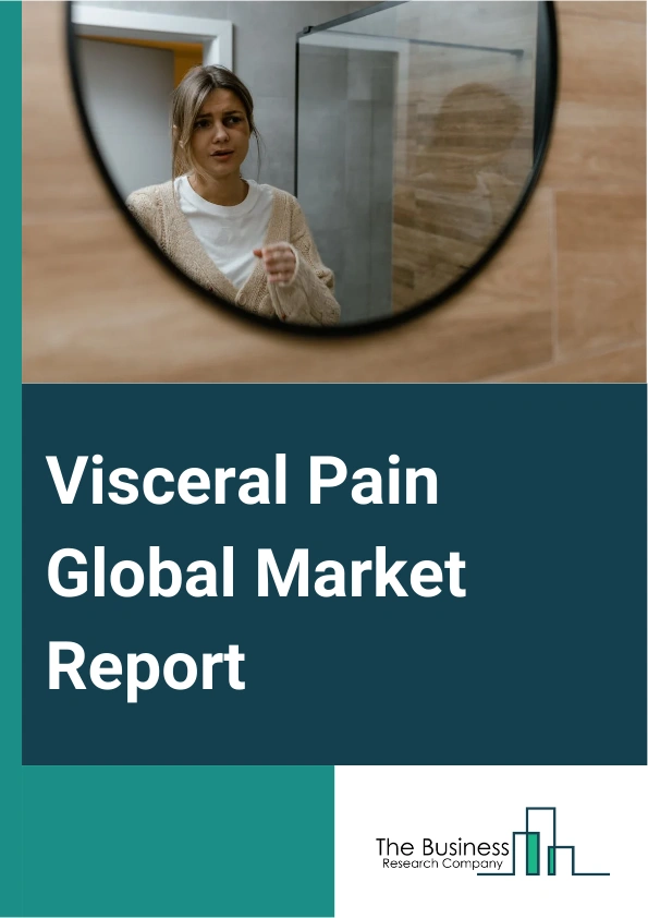 Visceral Pain Global Market Report 2024 – By Drug Class (Calcium Channel Blockers, Nonsteroidal Anti-Inflammatory (NSAID), Other Drug Classes), By Indications (Interstitial Cystitis, Crohn’s, Irritable Bowel, Chronic Prostatitis, Other Indications), By End Users (Hospitals, Homecare, Specialty Clinics, Other End Users) – Market Size, Trends, And Global Forecast 2024-2033