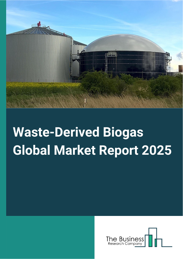 Global Waste-Derived Biogas Market Report 2025