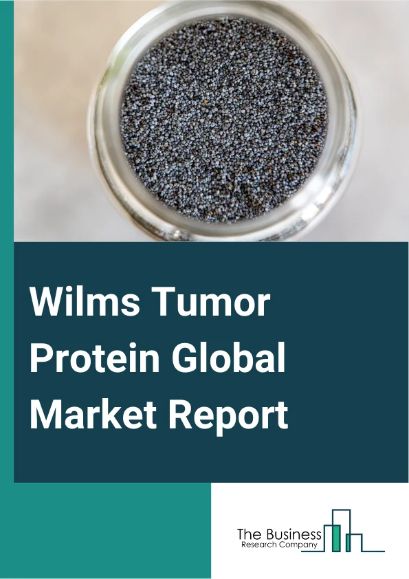 Wilms Tumor Protein Global Market Report 2024 – By Product Type (Antibodies, Assay Kits, Recombinant Proteins, Other Types), By Detection Method (Immunohistochemistry (IHC), Enzyme-Linked Immunosorbent Assay (ELISA), Western Blotting, Polymerase Chain Reaction (PCR), Other Methods), By Application (Cancer Diagnosis, Cancer Treatment, Research And Development, Other Applications), By End User (Hospitals, Diagnostic Laboratories, Research Institutes, Other End Users) – Market Size, Trends, And Global Forecast 2024-2033