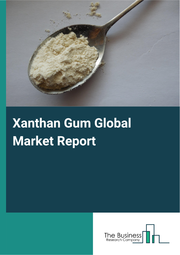 Xanthan Gum Market Size and growth rate 2025 to 2029: Graph