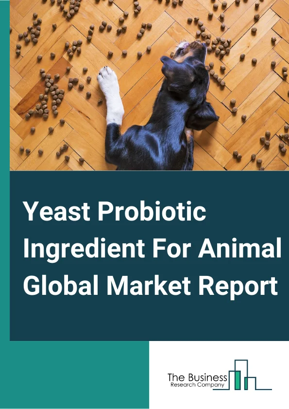 Yeast Probiotic Ingredient For Animal